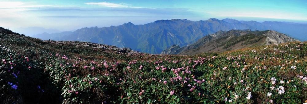 陕西·牛背梁旅游度假区