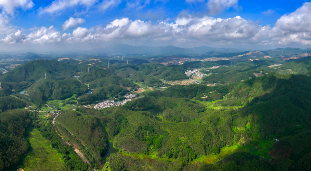 广东·鹤山靖村