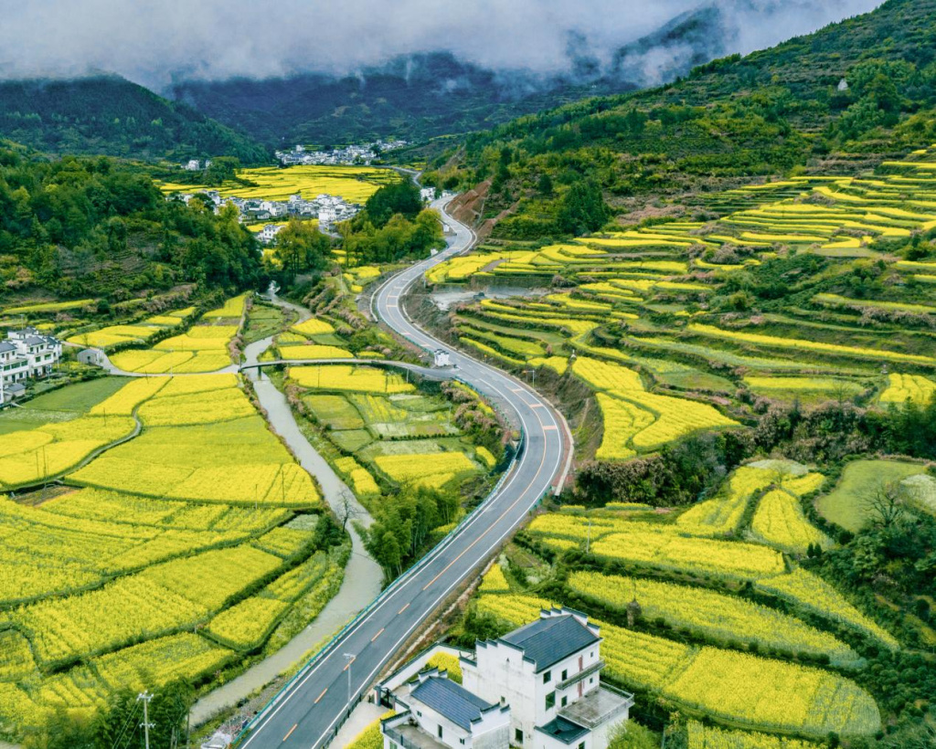 江西婺源：上春山，赏花海，赴一场芳华之约